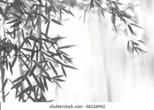 bamboo en tinta sumi