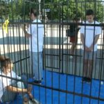 migrantes enjaulados